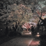 「御船山楽園」にライトアップされた紅葉を見に行ってきました