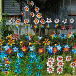 水巻町のペットボトルの花畑を見てきました