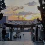 宮地嶽神社の「光の道」の夕陽を見に行く